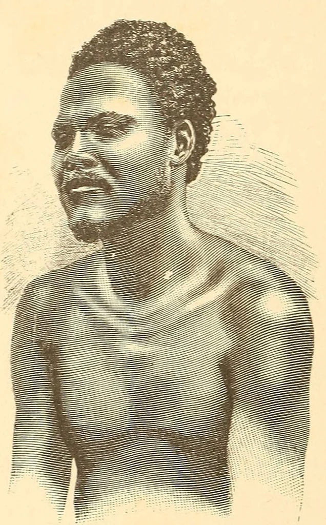 An illustration from Descripção da viagem á Mussumba do Muatiãnvua, 1890, leaf 108