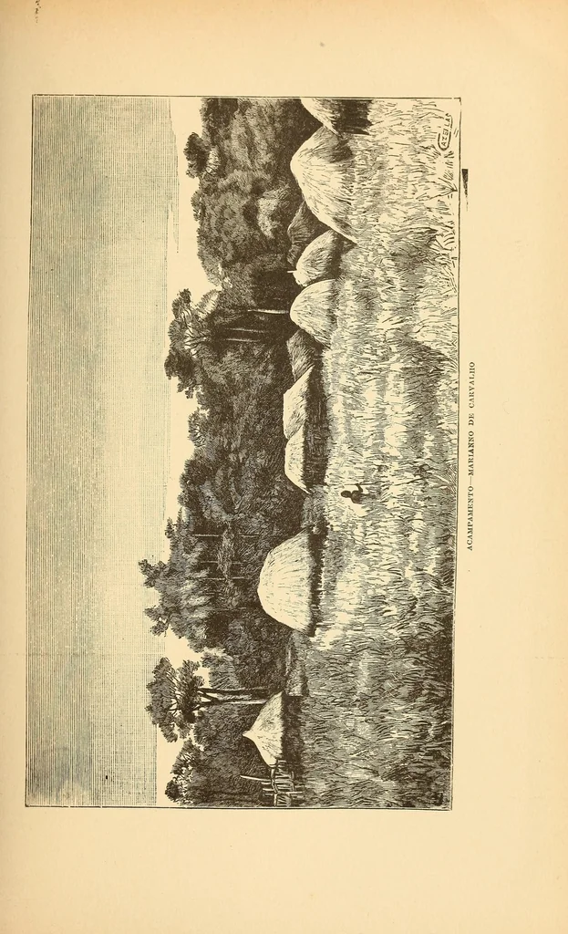 An illustration from Descripção da viagem á Mussumba do Muatiãnvua, 1890, leaf 219