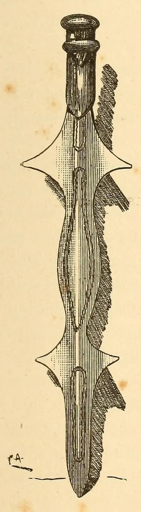 An illustration from Descripção da viagem á Mussumba do Muatiãnvua, 1890, leaf 881