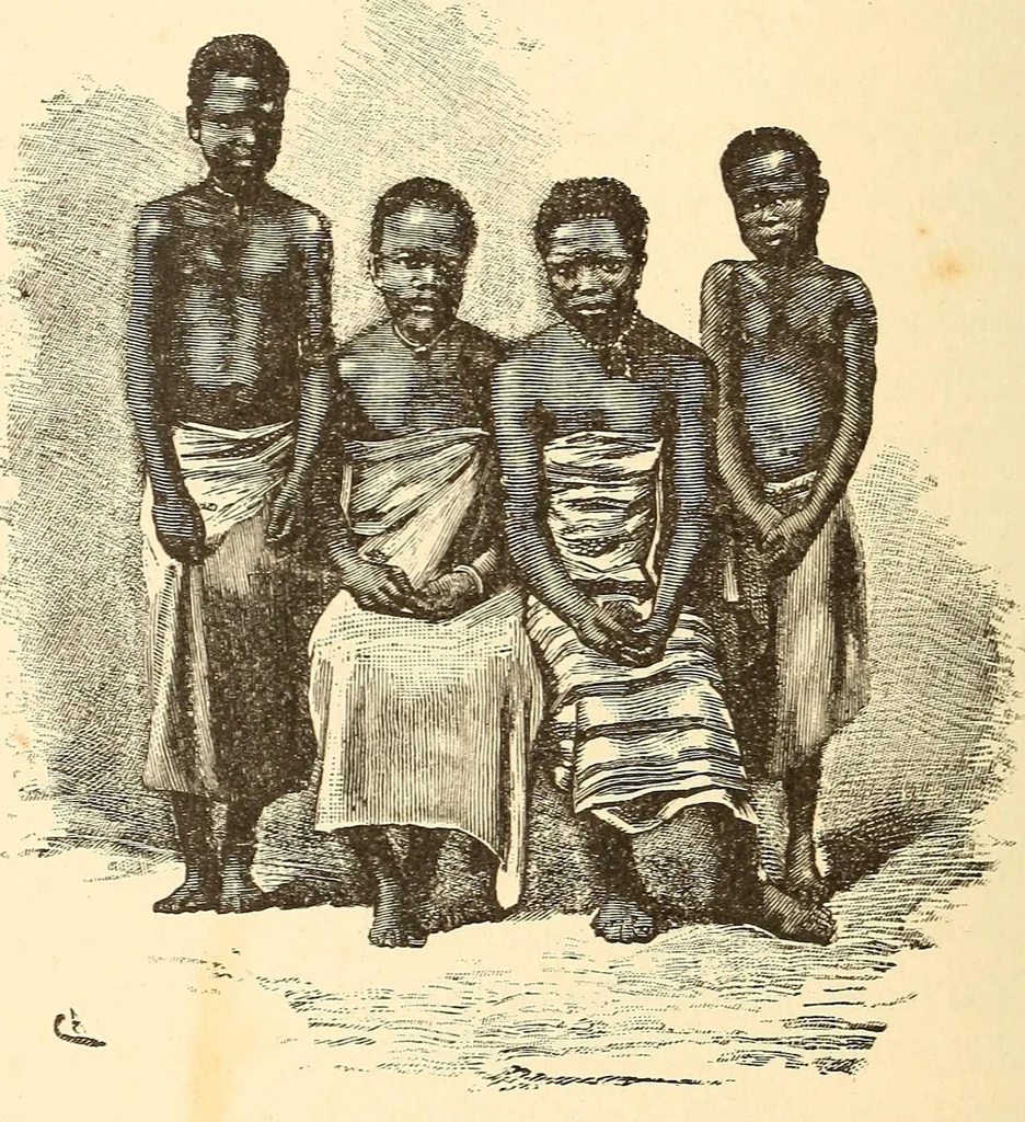 An illustration from Descripção da viagem á Mussumba do Muatiãnvua, 1890, leaf 954