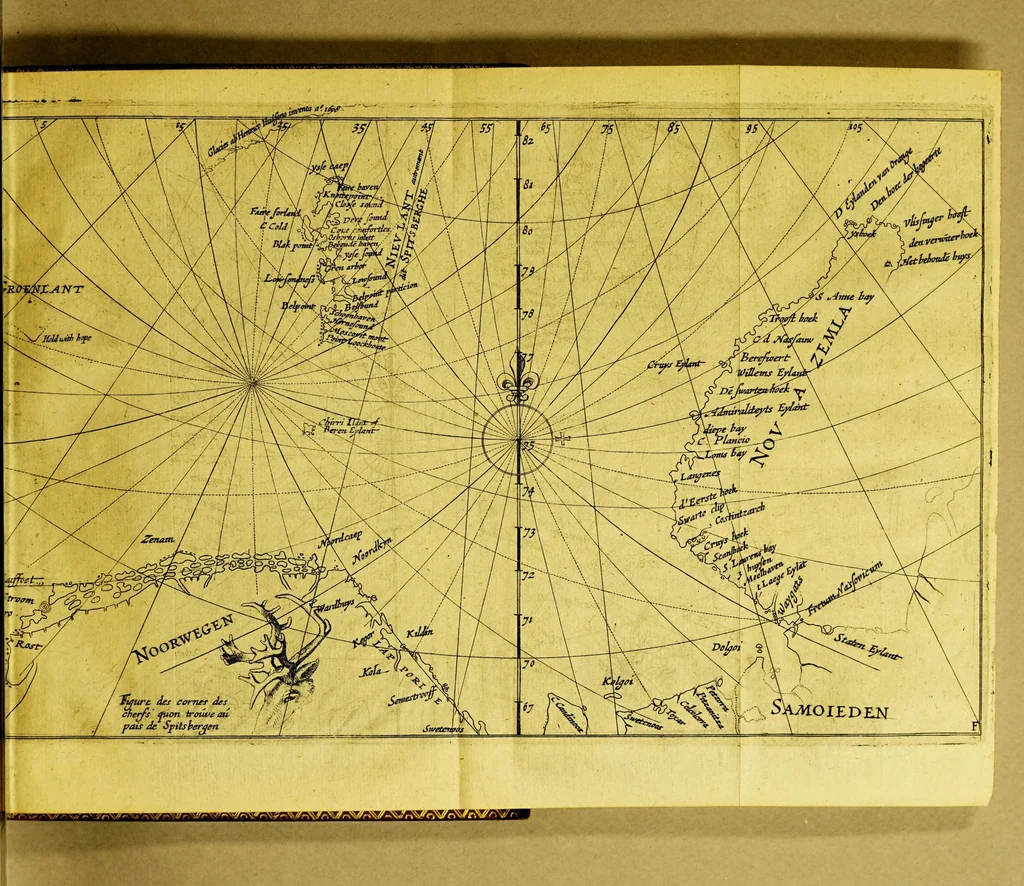 An illustration from Descriptio ac delineatio geographica detectionis freti, : sive, Transitus ad occasum suprà terras Americanas, in Chinam atq; Iaponem ducturi. Recens investigati ab M. Henrico Hudsono Anglo. : Item, Exegesis regi Hispaniæ facta, super tractu recens detecto, in quintâ orbis parte, cui nomen, Australis incognita. : Cum descriptione terrarum Samoiedarum, & Tingoesiorum, in Tartariâ ad ortum Freti VVaygats sitarum, nuperq; sceptro Moscovitarum adscitarum, 1613, leaf 51