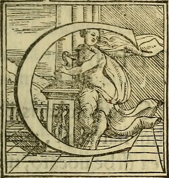 An illustration from Descriptio Britanniae, Scotiea, Hyberniae, et Orchadvm, 1548, leaf 102