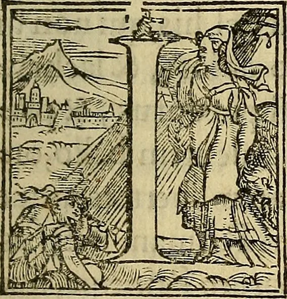 An illustration from Descriptio Britanniae, Scotiea, Hyberniae, et Orchadvm, 1548, leaf 14