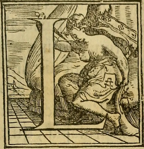 An illustration from Descriptio Britanniae, Scotiea, Hyberniae, et Orchadvm, 1548, leaf 260