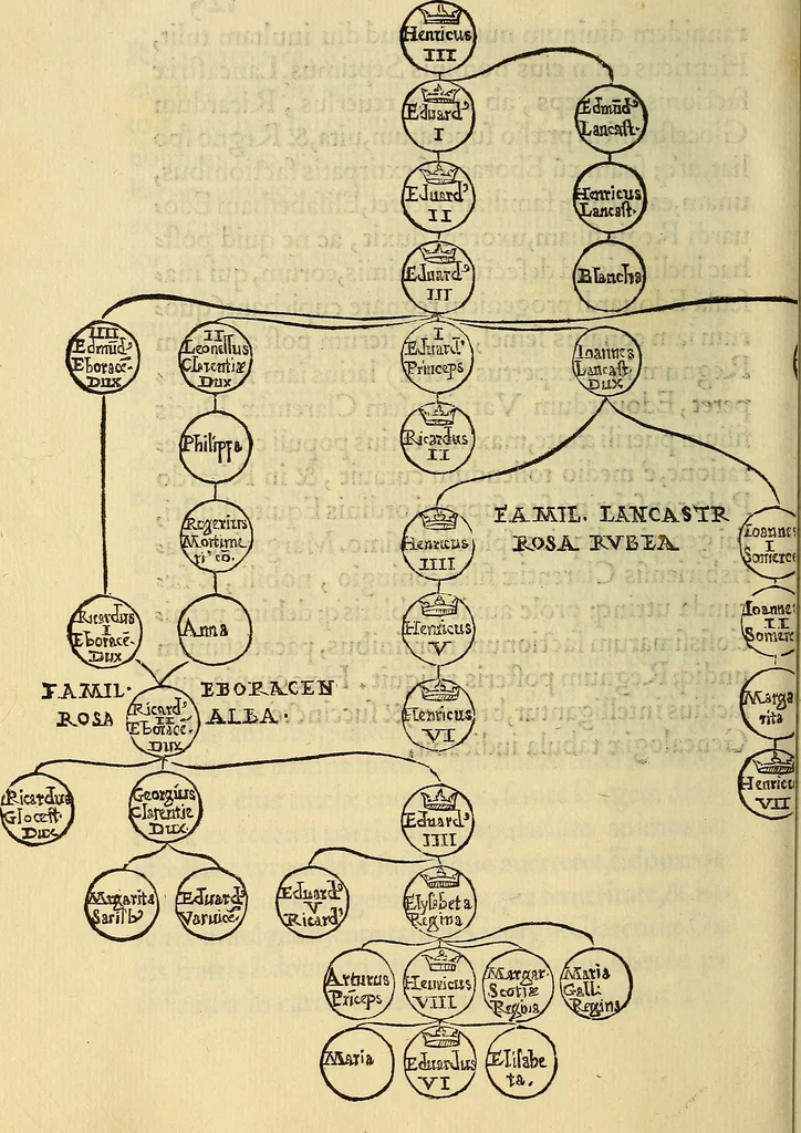 An illustration from Descriptio Britanniae, Scotiea, Hyberniae, et Orchadvm, 1548, leaf 263