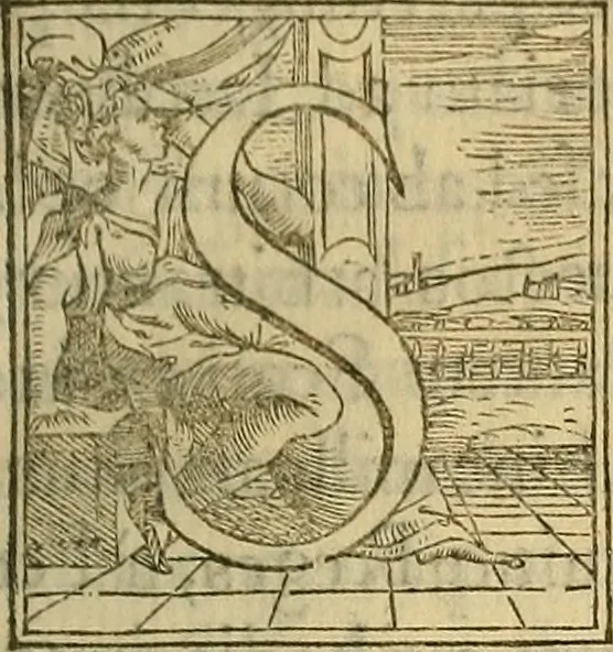 An illustration from Descriptio Britanniae, Scotiea, Hyberniae, et Orchadvm, 1548, leaf 64