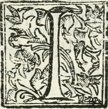An illustration from Descriptio exequialis pompae in templo d. Stanislai inclytae nationis Polonae exhibitae in funere Ioannis tertii Poloniae regis, magni Lithuaniae ducis : sub auspiciis eminentiss. & reuerensiss. principis d.d. Caroli card. Barberini, Poloniae protectoris : et oratio in eodem templo, 1697, leaf 10