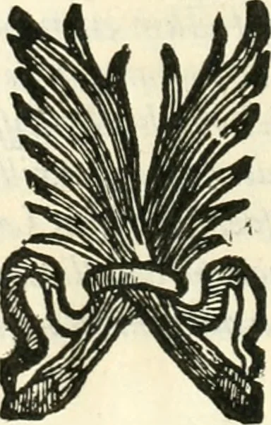 An illustration from Descriptio exequialis pompae in templo d. Stanislai inclytae nationis Polonae exhibitae in funere Ioannis tertii Poloniae regis, magni Lithuaniae ducis : sub auspiciis eminentiss. & reuerensiss. principis d.d. Caroli card. Barberini, Poloniae protectoris : et oratio in eodem templo, 1697, leaf 15