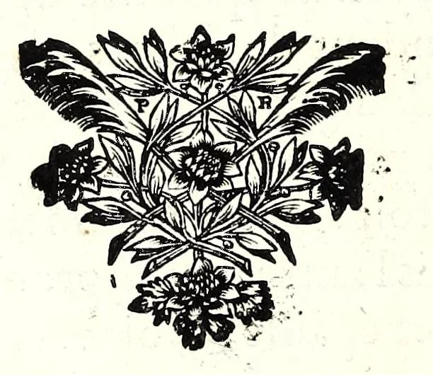 An illustration from Description anatomique d'un cameleon, d'un castor, d'un dromadaire, d'un ours, et d'une gazelle, 1669, leaf 38