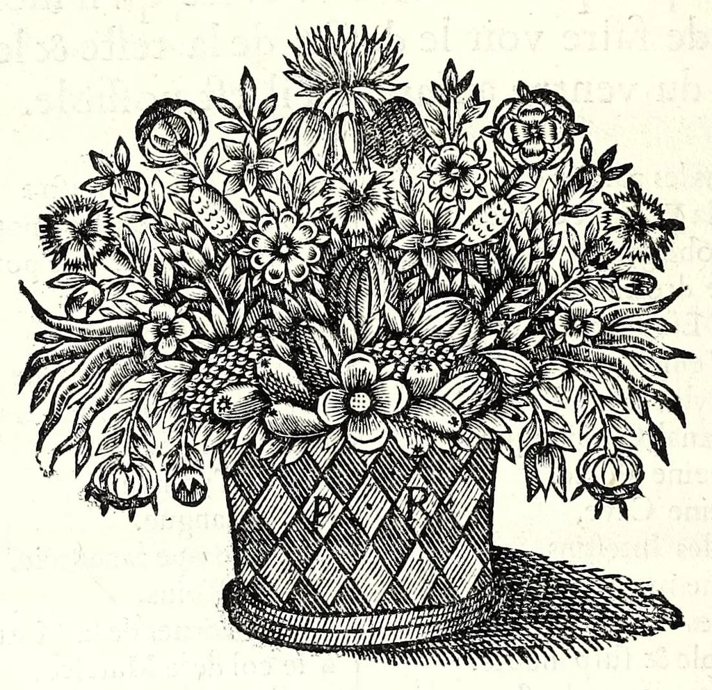 An illustration from Description anatomique d'un cameleon, d'un castor, d'un dromadaire, d'un ours, et d'une gazelle, 1669, leaf 4