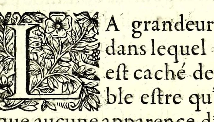 An illustration from Description anatomique d'un cameleon, d'un castor, d'un dromadaire, d'un ours, et d'une gazelle, 1669, leaf 43
