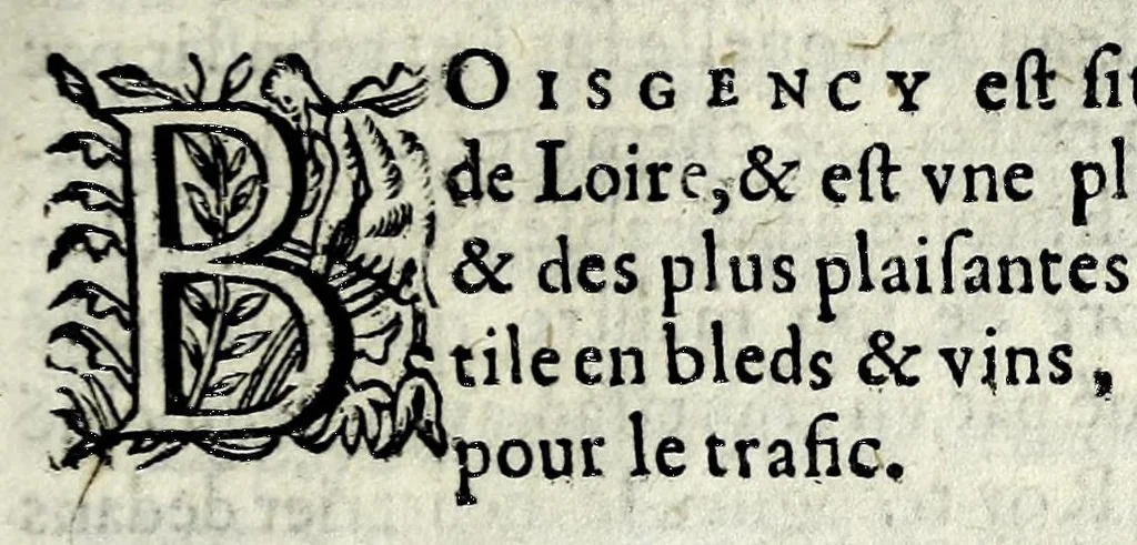 An illustration from Description contenant toutes les singularitez de plus celebres villes et places remarquables du royaume de France : avec les choses plus memorables aduenues en jceluy : reveu, corrige et auguemente du sommaire de l'estat, cartes des prouinces et de quelques portraitz des plus signalees uilles du dict royaume, 1610, leaf 101