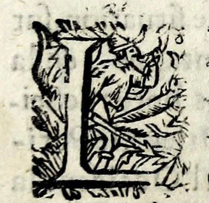 An illustration from Description contenant toutes les singularitez de plus celebres villes et places remarquables du royaume de France : avec les choses plus memorables aduenues en jceluy : reveu, corrige et auguemente du sommaire de l'estat, cartes des prouinces et de quelques portraitz des plus signalees uilles du dict royaume, 1610, leaf 101