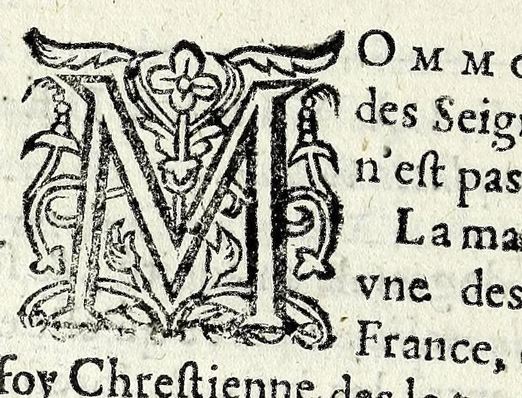 An illustration from Description contenant toutes les singularitez de plus celebres villes et places remarquables du royaume de France : avec les choses plus memorables aduenues en jceluy : reveu, corrige et auguemente du sommaire de l'estat, cartes des prouinces et de quelques portraitz des plus signalees uilles du dict royaume, 1610, leaf 132