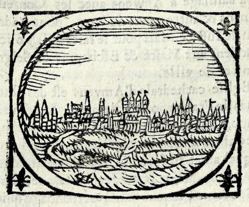 An illustration from Description contenant toutes les singularitez de plus celebres villes et places remarquables du royaume de France : avec les choses plus memorables aduenues en jceluy : reveu, corrige et auguemente du sommaire de l'estat, cartes des prouinces et de quelques portraitz des plus signalees uilles du dict royaume, 1610, leaf 133