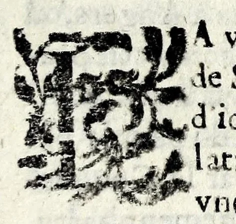 An illustration from Description contenant toutes les singularitez de plus celebres villes et places remarquables du royaume de France : avec les choses plus memorables aduenues en jceluy : reveu, corrige et auguemente du sommaire de l'estat, cartes des prouinces et de quelques portraitz des plus signalees uilles du dict royaume, 1610, leaf 133