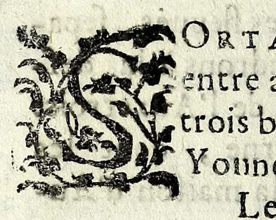 An illustration from Description contenant toutes les singularitez de plus celebres villes et places remarquables du royaume de France : avec les choses plus memorables aduenues en jceluy : reveu, corrige et auguemente du sommaire de l'estat, cartes des prouinces et de quelques portraitz des plus signalees uilles du dict royaume, 1610, leaf 146