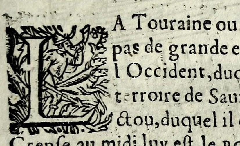 An illustration from Description contenant toutes les singularitez de plus celebres villes et places remarquables du royaume de France : avec les choses plus memorables aduenues en jceluy : reveu, corrige et auguemente du sommaire de l'estat, cartes des prouinces et de quelques portraitz des plus signalees uilles du dict royaume, 1610, leaf 159