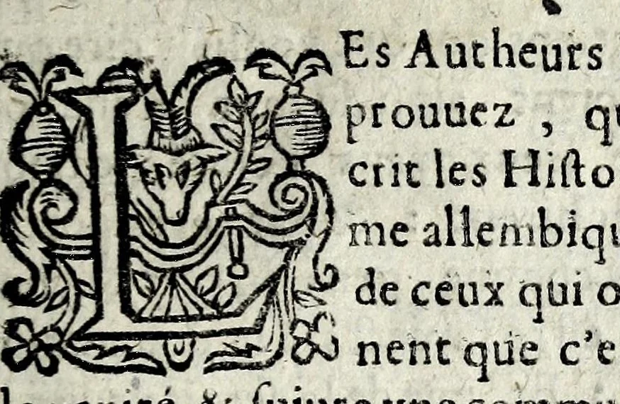 An illustration from Description contenant toutes les singularitez de plus celebres villes et places remarquables du royaume de France : avec les choses plus memorables aduenues en jceluy : reveu, corrige et auguemente du sommaire de l'estat, cartes des prouinces et de quelques portraitz des plus signalees uilles du dict royaume, 1610, leaf 17
