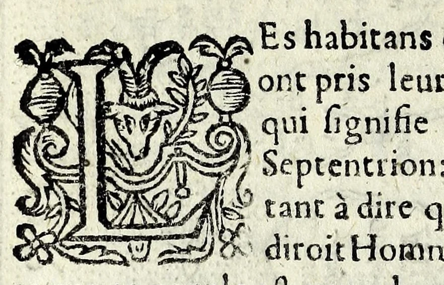 An illustration from Description contenant toutes les singularitez de plus celebres villes et places remarquables du royaume de France : avec les choses plus memorables aduenues en jceluy : reveu, corrige et auguemente du sommaire de l'estat, cartes des prouinces et de quelques portraitz des plus signalees uilles du dict royaume, 1610, leaf 186