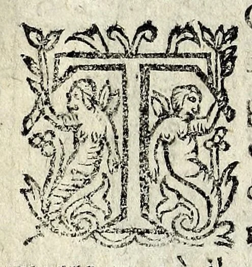 An illustration from Description contenant toutes les singularitez de plus celebres villes et places remarquables du royaume de France : avec les choses plus memorables aduenues en jceluy : reveu, corrige et auguemente du sommaire de l'estat, cartes des prouinces et de quelques portraitz des plus signalees uilles du dict royaume, 1610, leaf 22