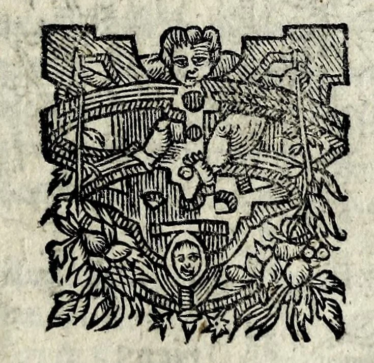 An illustration from Description contenant toutes les singularitez de plus celebres villes et places remarquables du royaume de France : avec les choses plus memorables aduenues en jceluy : reveu, corrige et auguemente du sommaire de l'estat, cartes des prouinces et de quelques portraitz des plus signalees uilles du dict royaume, 1610, leaf 229