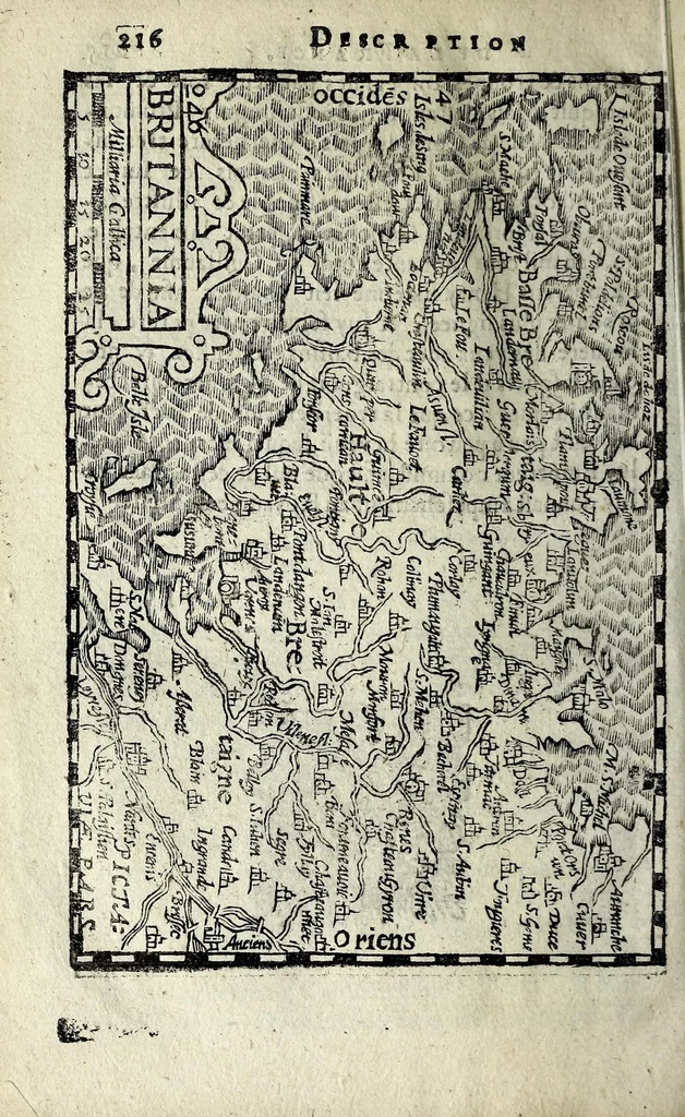 An illustration from Description contenant toutes les singularitez de plus celebres villes et places remarquables du royaume de France : avec les choses plus memorables aduenues en jceluy : reveu, corrige et auguemente du sommaire de l'estat, cartes des prouinces et de quelques portraitz des plus signalees uilles du dict royaume, 1610, leaf 230
