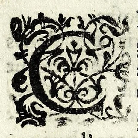 An illustration from Description contenant toutes les singularitez de plus celebres villes et places remarquables du royaume de France : avec les choses plus memorables aduenues en jceluy : reveu, corrige et auguemente du sommaire de l'estat, cartes des prouinces et de quelques portraitz des plus signalees uilles du dict royaume, 1610, leaf 276
