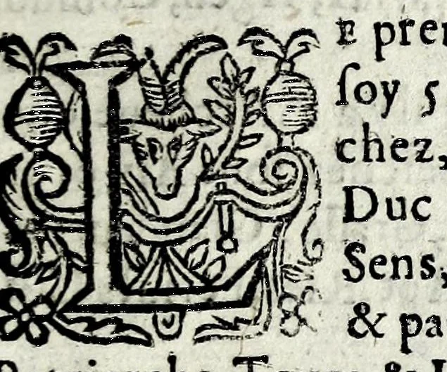 An illustration from Description contenant toutes les singularitez de plus celebres villes et places remarquables du royaume de France : avec les choses plus memorables aduenues en jceluy : reveu, corrige et auguemente du sommaire de l'estat, cartes des prouinces et de quelques portraitz des plus signalees uilles du dict royaume, 1610, leaf 365