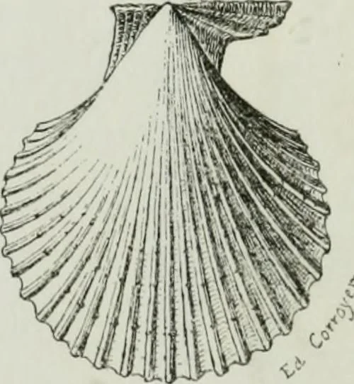 An illustration from Description de l'abbaye du Mont Saint-Michel et de ses abords : précédée d'une notice historique, 1877, leaf 77