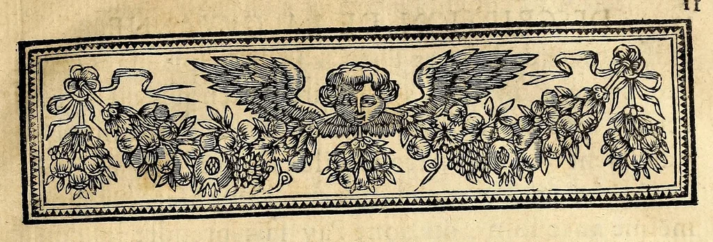 An illustration from Description de la France equinoctiale, cy-deuant appellee Guyanne, et par les Espagnols, El Dorado., 1666, leaf 19