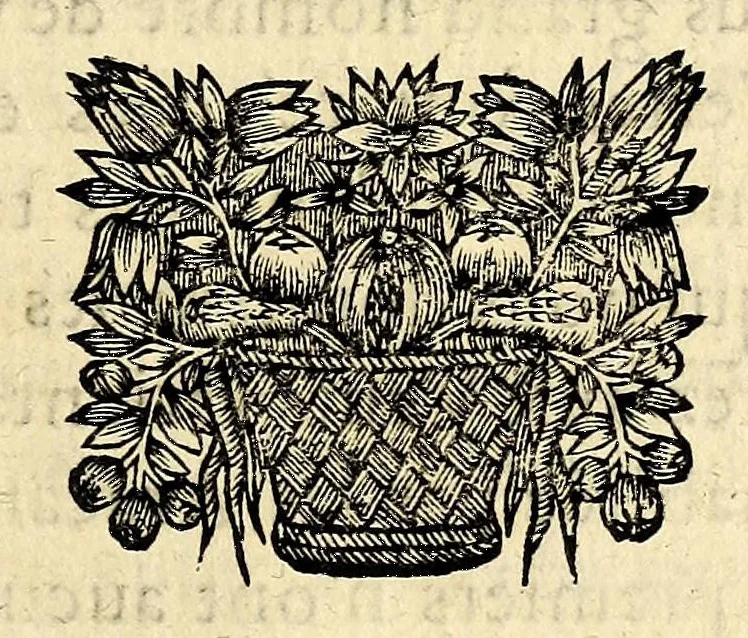An illustration from Description de la France equinoctiale, cy-deuant appellee Guyanne, et par les Espagnols, El Dorado., 1666, leaf 33