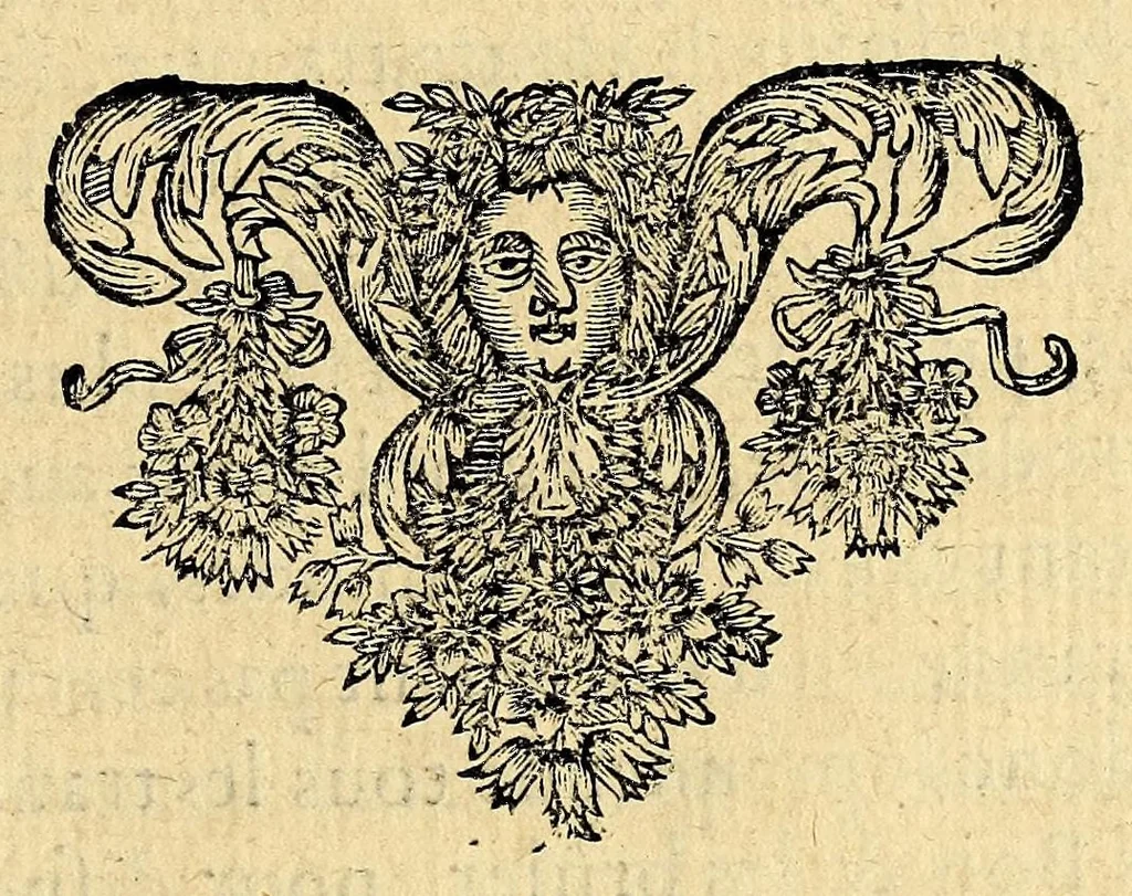 An illustration from Description de la France equinoctiale, cy-deuant appellee Guyanne, et par les Espagnols, El Dorado., 1666, leaf 51
