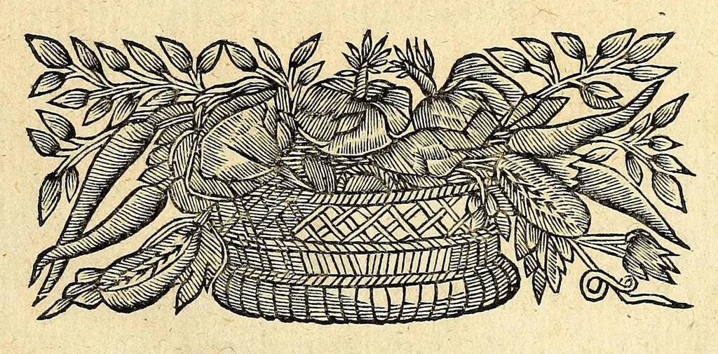 An illustration from Description de la France equinoctiale, cy-deuant appellee Guyanne, et par les Espagnols, El Dorado., 1666, leaf 7