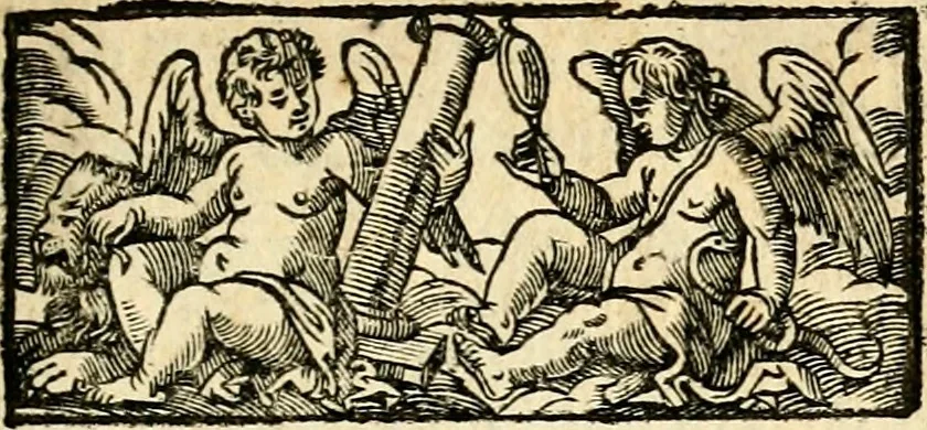 An illustration from Description de la Louisiane, : nouvellement decouverte au sud' oüest de la Nouvelle France, par ordre du roy. Avec la carte du pays: Les moeurs & la maniere de vivre des sauvages., 1683, leaf 6