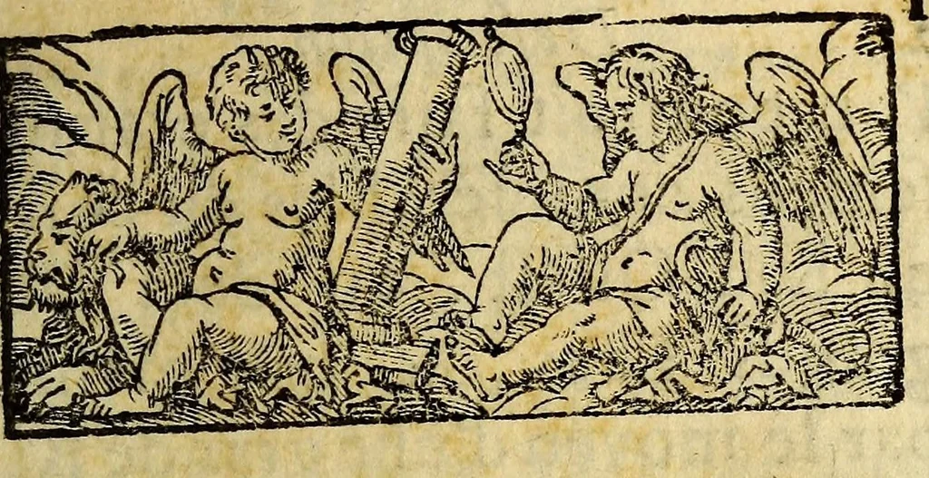 An illustration from Description de la Louisiane, : nouvellement decouverte au sud'oüest de la Nouvelle France, par ordre du roy. Avec la carte du pays: les moeurs & la maniere de vivre des sauvages., 1688, leaf 19