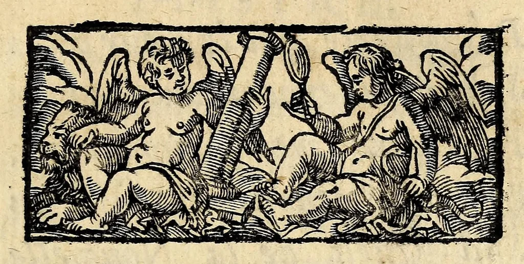 An illustration from Description de la Louisiane, : nouvellement decouverte au sud' oüest de la Nouvelle France, par ordre du roy. Avec la carte du pays, les moeurs & la maniere de vivre des sauvages., 1683, leaf 11