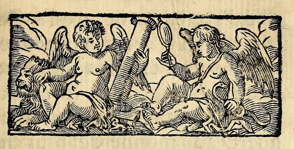 An illustration from Description de la Louisiane, : nouvellement decouverte au sud' oüest de la Nouvelle France, par ordre du roy. Avec la carte du pays, les moeurs & la maniere de vivre des sauvages., 1683, leaf 333