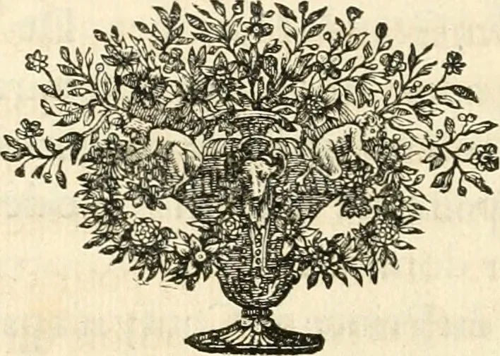 An illustration from Description de la pompe funebre faite dans l'eglise de Saint André des Arcs : a la memoire de tres haut, tres puissant, tres excellent prince François-Louis de Bourbon, Prince de Conty, Prince du Sang, Pair de France; avec des memoires historiques sur toute la vie de ce Prince : pour servir d'explication aux devises & aux peintures employées dans les ornements de la pomp representée icy en deux grandes planches en taille douce, 1709, leaf 21