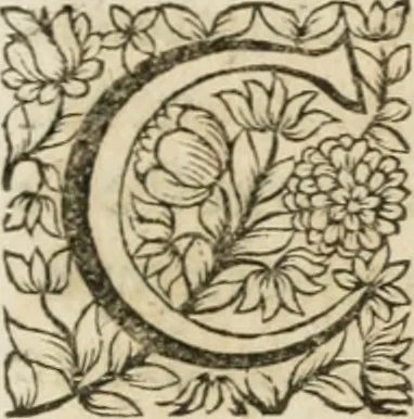An illustration from Description de l'arc dressé par les soins du Souuerain Senat de Savoye : pour l'entrée de leurs Altesses Royales à Chambery, 1663, leaf 38