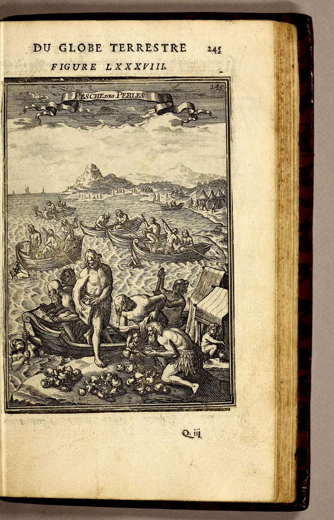 An illustration from Description de l'univers, : contenant les differents systêmes du monde, les cartes generales & particulieres de la geographie ancienne & moderne : les plans & les profils des principales villes & des autres lieux plus considerables de la terre ; avec les portraits des souverains qui y commandent, leurs blasons, titres & livrées : et les mœurs, religions, gouvernemens & divers habillemens de chaque nation. Dediee au roy., 1683, leaf 277