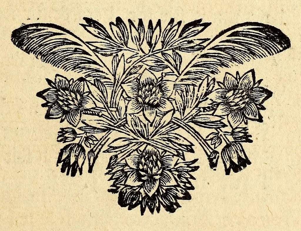 An illustration from Description de l'univers, : contenant les differents systêmes du monde, les cartes generales & particulieres de la geographie ancienne & moderne : les plans & les profils des principales villes & des autres lieux plus considerables de la terre ; avec les portraits des souverains qui y commandent, leurs blasons, titres & livrées : et les mœurs, religions, gouvernemens & divers habillemens de chaque nation. Dediee au roy., 1683, leaf 131
