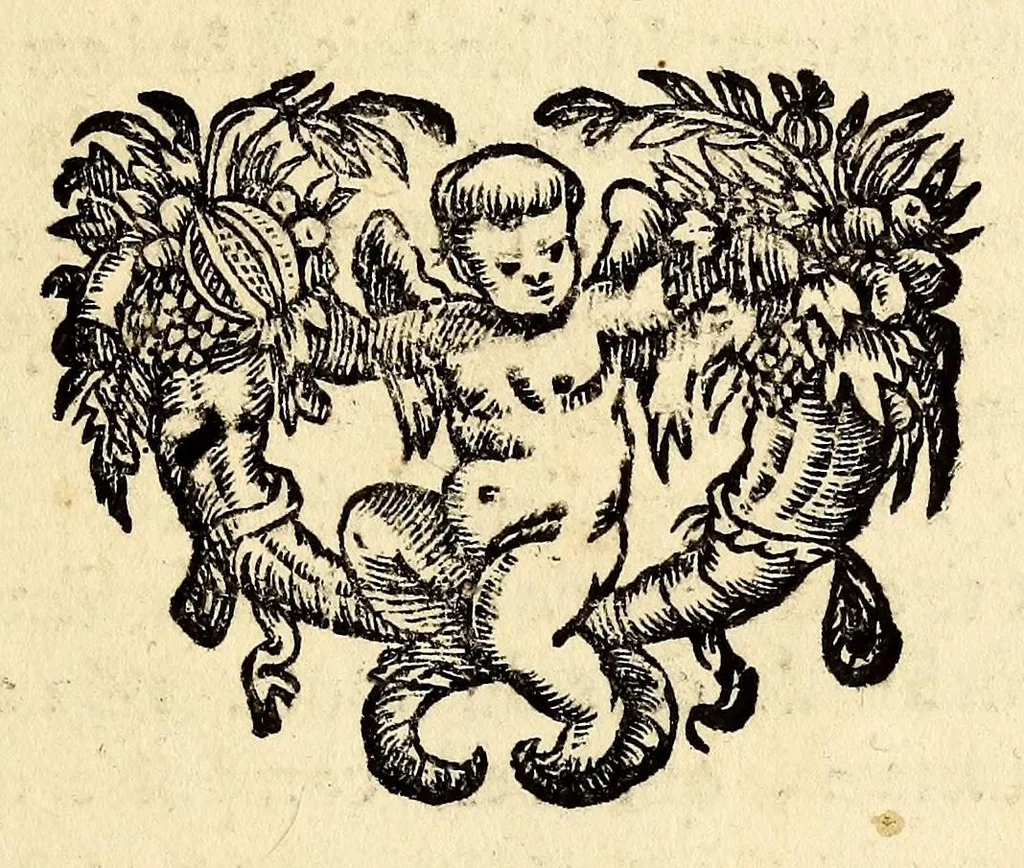 An illustration from Description de l'univers, : contenant les differents systêmes du monde, les cartes generales & particulieres de la geographie ancienne & moderne : les plans & les profils des principales villes & des autres lieux plus considerables de la terre ; avec les portraits des souverains qui y commandent, leurs blasons, titres & livrées : et les mœurs, religions, gouvernemens & divers habillemens de chaque nation. Dediee au roy., 1683, leaf 145
