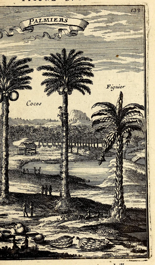 An illustration from Description de l'univers, : contenant les differents systêmes du monde, les cartes generales & particulieres de la geographie ancienne & moderne : les plans & les profils des principales villes & des autres lieux plus considerables de la terre ; avec les portraits des souverains qui y commandent, leurs blasons, titres & livrées : et les mœurs, religions, gouvernemens & divers habillemens de chaque nation. Dediee au roy., 1683, leaf 149