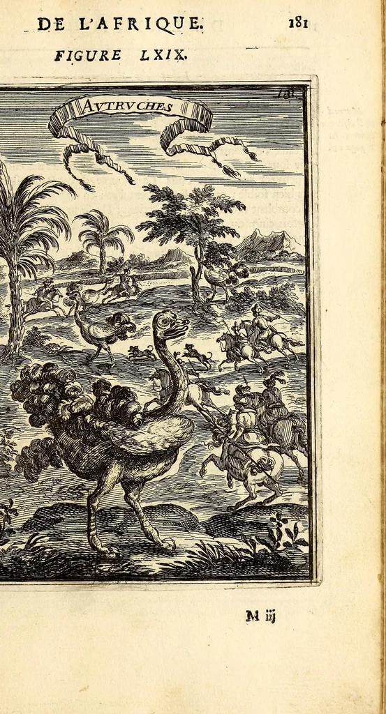 An illustration from Description de l'univers, : contenant les differents systêmes du monde, les cartes generales & particulieres de la geographie ancienne & moderne : les plans & les profils des principales villes & des autres lieux plus considerables de la terre ; avec les portraits des souverains qui y commandent, leurs blasons, titres & livrées : et les mœurs, religions, gouvernemens & divers habillemens de chaque nation. Dediee au roy., 1683, leaf 197
