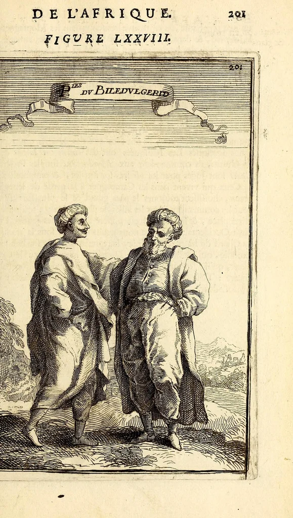 An illustration from Description de l'univers, : contenant les differents systêmes du monde, les cartes generales & particulieres de la geographie ancienne & moderne : les plans & les profils des principales villes & des autres lieux plus considerables de la terre ; avec les portraits des souverains qui y commandent, leurs blasons, titres & livrées : et les mœurs, religions, gouvernemens & divers habillemens de chaque nation. Dediee au roy., 1683, leaf 217