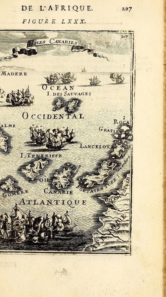 An illustration from Description de l'univers, : contenant les differents systêmes du monde, les cartes generales & particulieres de la geographie ancienne & moderne : les plans & les profils des principales villes & des autres lieux plus considerables de la terre ; avec les portraits des souverains qui y commandent, leurs blasons, titres & livrées : et les mœurs, religions, gouvernemens & divers habillemens de chaque nation. Dediee au roy., 1683, leaf 223