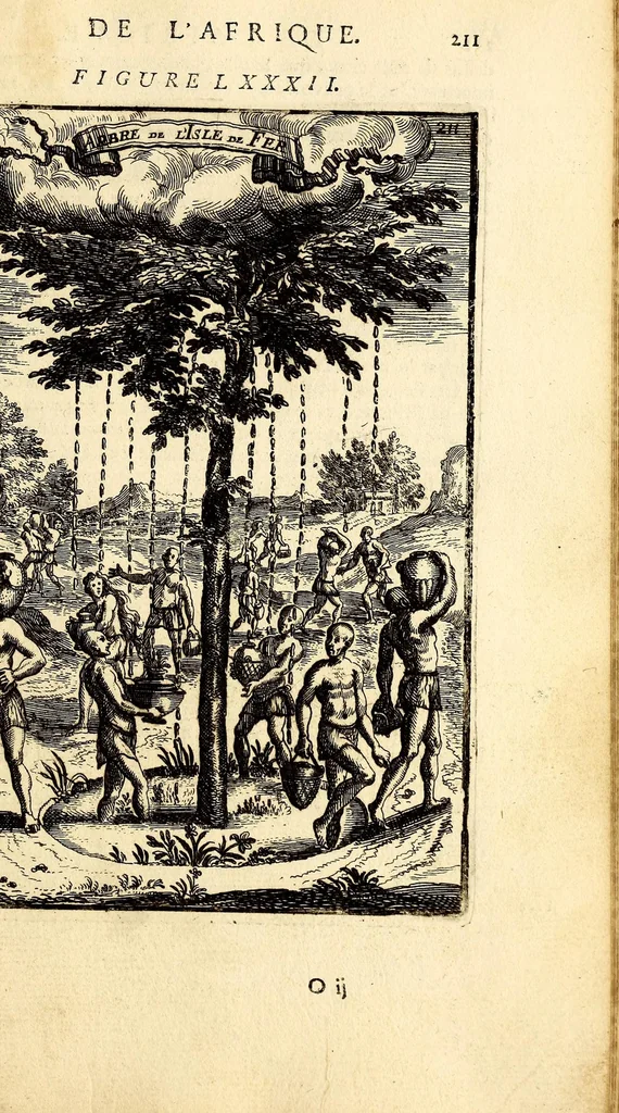 An illustration from Description de l'univers, : contenant les differents systêmes du monde, les cartes generales & particulieres de la geographie ancienne & moderne : les plans & les profils des principales villes & des autres lieux plus considerables de la terre ; avec les portraits des souverains qui y commandent, leurs blasons, titres & livrées : et les mœurs, religions, gouvernemens & divers habillemens de chaque nation. Dediee au roy., 1683, leaf 227