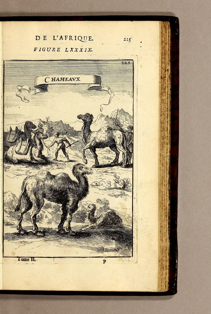 An illustration from Description de l'univers, : contenant les differents systêmes du monde, les cartes generales & particulieres de la geographie ancienne & moderne : les plans & les profils des principales villes & des autres lieux plus considerables de la terre ; avec les portraits des souverains qui y commandent, leurs blasons, titres & livrées : et les mœurs, religions, gouvernemens & divers habillemens de chaque nation. Dediee au roy., 1683, leaf 243
