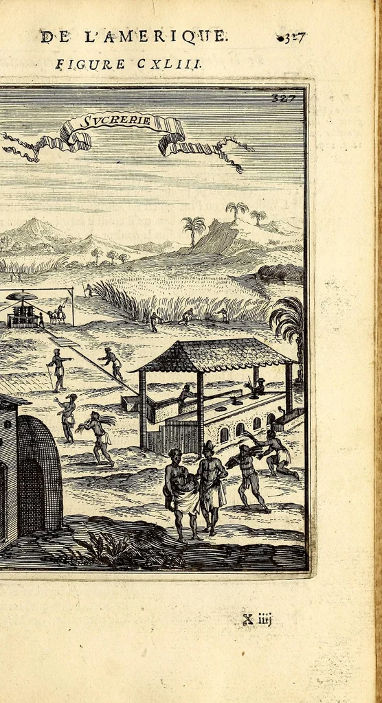 An illustration from Description de l'univers, : contenant les differents systêmes du monde, les cartes generales & particulieres de la geographie ancienne & moderne : les plans & les profils des principales villes & des autres lieux plus considerables de la terre ; avec les portraits des souverains qui y commandent, leurs blasons, titres & livrées : et les mœurs, religions, gouvernemens & divers habillemens de chaque nation. Dediee au roy., 1683, leaf 361